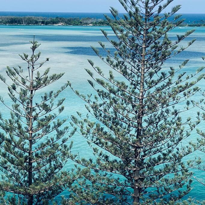 Apartment Ally's Golden Retreat! Caloundra